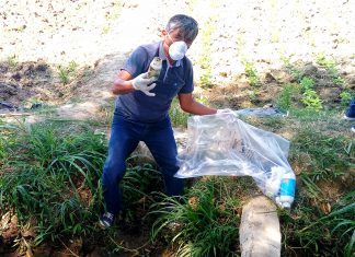 Productores piuranos se unen a jornada de recojo de envases vacíos de plaguicidas