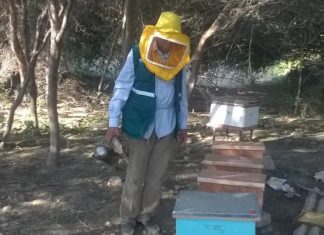 Senasa evalúa apiarios para descartar Loque europea en La Libertad