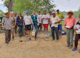 Tumbes: Senasa promueve métodos orgánicos para prevenir y controlar plagas en banano y cítricos