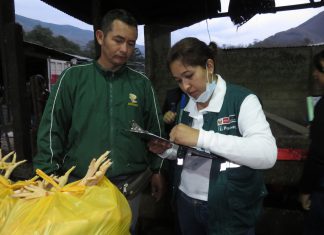 Cusco: Senasa integra operativos en centros de beneficio de aves