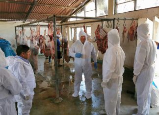 Senasa desarrolla pasantía ‘Garanticemos la Inocuidad Agroalimentaria’ en La Libertad