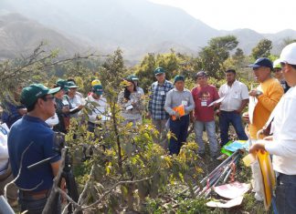 Gobiernos locales capacitarán a más de 50 mil productores en Buenas Prácticas Agrícolas y Ganaderas