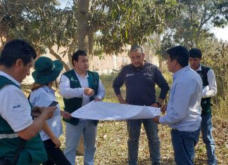 Acciones sanitarias para erradicar la Mosca de la Fruta benefician a productores de Ica