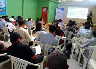 Senasa y organizaciones bananeras se unen para evitar ingreso de Fusarium al país