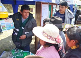 Senasa atendió a más de 500 productores en Feria Multisectorial desarrollada en Apurímac