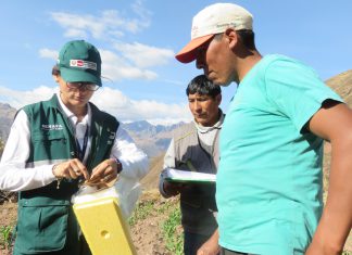 Agricultores de Huayllabamba comprueban uso efectivo de control biológico