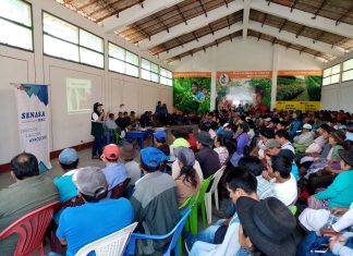 Ayacucho: Senasa intensifica prevención en los valles de Torobamba, Huanta y Ocros ante alerta fitosanitaria