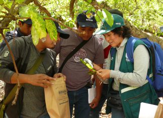 Estudiantes usarán control biológico en la producción de cultivos importantes de la región Ayacucho