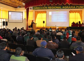 MINAGRI y criadores establecen estrategias del Plan Nacional de Manejo Sanitario en camélidos sudamericanos