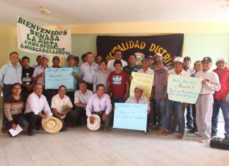 Erradicación de las moscas de la fruta es prioridad en Lambayeque