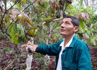 Amazonas: Senasa realizó inspecciones para garantizar normas de producción orgánica