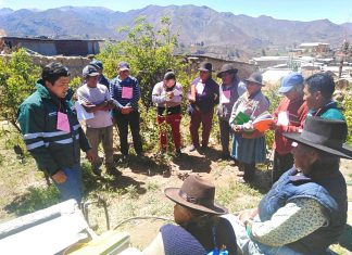 Senasa potencia habilidades de agricultores para mejorar producción de manzano