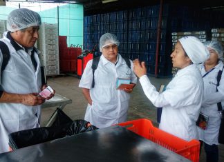 Inspeccionan plantas de procesamiento primario para exportación de mango a México