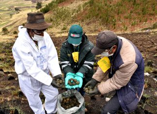 Escuelas de campo promueven inocuidad de los alimentos desde la siembra