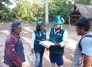 Ucayali: Supervisan cumplimiento de normas orgánicas en producción del Cacao