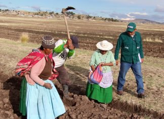 Puno: MINAGRI impulsa agricultura familiar como prioridad para el desarrollo económico y rural del país