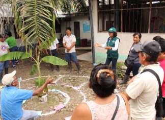 Productores de plátano y piña se capacitarán en Escuelas de Campo del MINAGRI