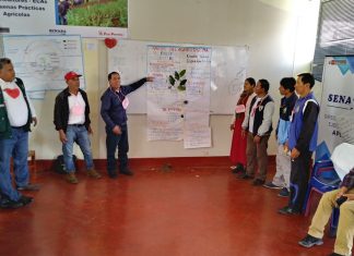 Facilitadores en Escuelas de Campo implementarán buenas prácticas agrícolas en Apurímac