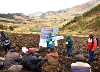 Agricultura familiar mejorará producción de cultivos tradicionales en Ayacucho