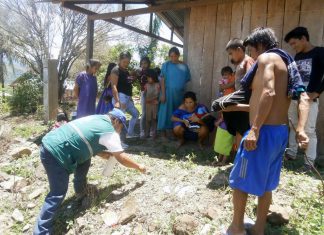 VRAEM: MINAGRI realizó acciones sanitarias para el control del caracol gigante africano
