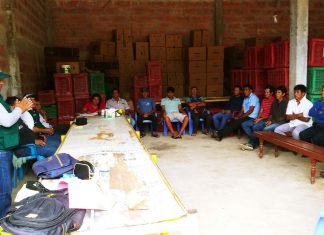 Escuelas de Campo atenderán a pequeños productores de piña y plátano de Amazonas