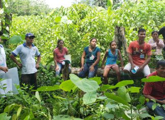 Loreto: Comunidades nativas de Maynas mejoran cultivos en escuelas de campo