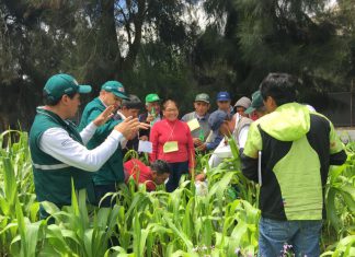 Áncash: MINAGRI entrena facilitadores en escuelas de campo para beneficio de la agricultura familiar
