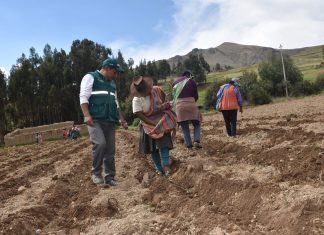 Escuelas de Campo promueven el uso de controladores biológicos en Apurímac