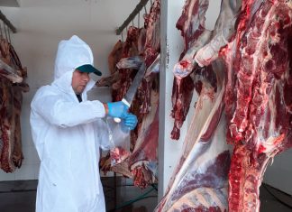 Vigilancia sanitaria promueve producción de alimentos sanos e inocuos