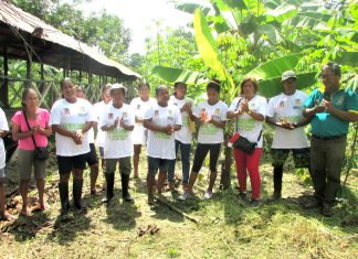 MINAGRI reconoce a productores de plátanos como expertos en manejo integrado de plagas