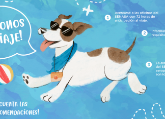 Conoce los requisitos para la salida e ingreso de mascotas al país