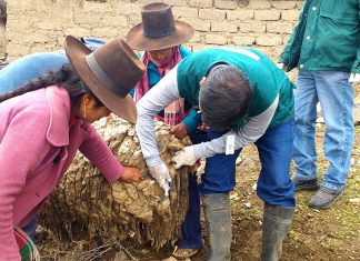 Tacna: MINAGRI atiende a la agricultura familiar afectada por huaycos