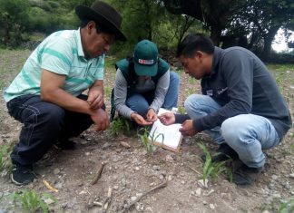 Agricultura familiar ubicada a más de 3500 msnm aprende en escuelas de campo
