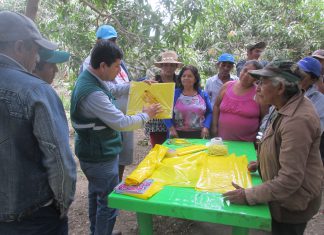 MINAGRI intervendrá más de 200 mil hectáreas para resguardar la producción frutícola de Piura