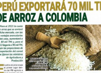 Perú exportará 70 mil toneladas de arroz a Colombia