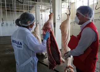 Mataderos garantizan el abastecimiento de carne en principales mercados de Cajamarca