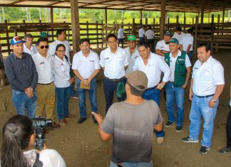 Fortalecimiento de acciones impulsarán ganadería y agricultura en Huánuco