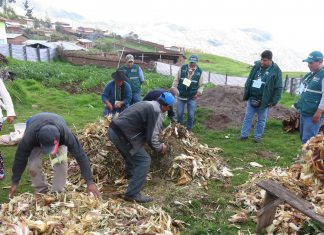 Escuelas de campo del MINAGRI instruyen a productores en la elaboración y uso de abono orgánico