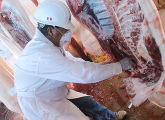 Amazonas: MINAGRI y gobiernos locales mantienen coordinaciones para mejoras de mataderos