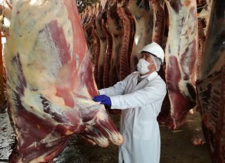 MINAGRI continúa con la implementación de mataderos municipales en Arequipa