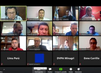 SENASA Perú se reúne con países de la región para articular esfuerzos en la atención de servicios sanitarios y fitosanitarios