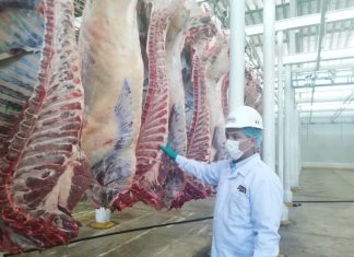 Acciones priorizadas velan por la inocuidad de los productos cárnicos en Puno