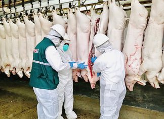 Verifican condiciones sanitarias en centro de faenamiento que abastece de carne a mercados de Lima