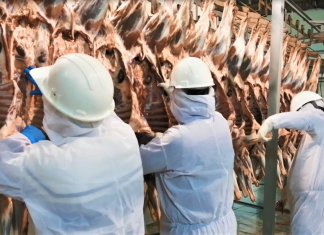 Huancavelica: Inspeccionan condiciones sanitarias en mataderos para garantizar abastecimiento de productos cárnicos inocuos