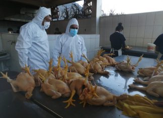 Mantienen y garantizan inocuidad en establecimientos que faenan aves en Apurímac