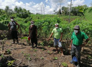 Escuelas de campo asisten a productores de la agricultura familiar en Cerro de Pasco