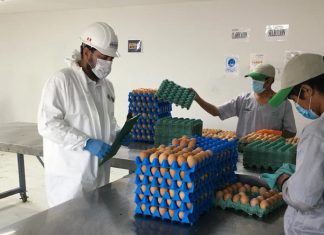 Moquegua: Acciones priorizadas buscan asegurar la inocuidad alimentaria