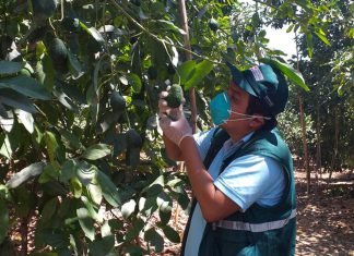 Certificación de lugares de producción en beneficio de la agricultura familiar