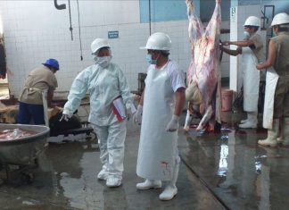 MINAGRI y gobiernos locales coordinan mejoramiento de mataderos en Apurímac