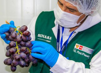 MINAGRI: Medidas de inocuidad llevan alimentos sanos a la mesa de los consumidores